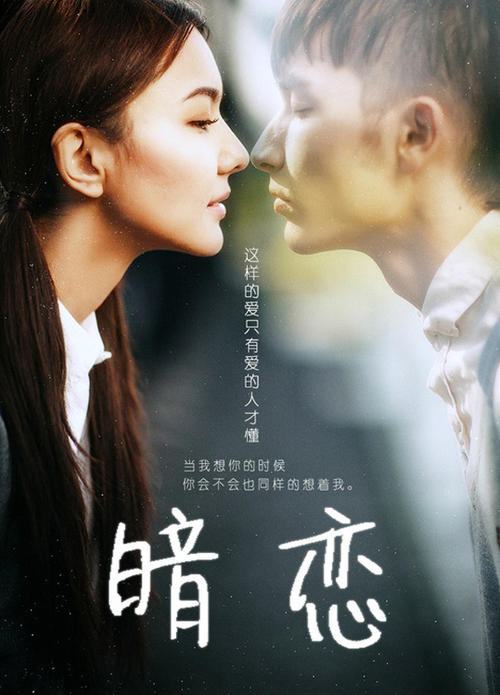 办假的诺顿.拉德斯托克学院文凭毕业证